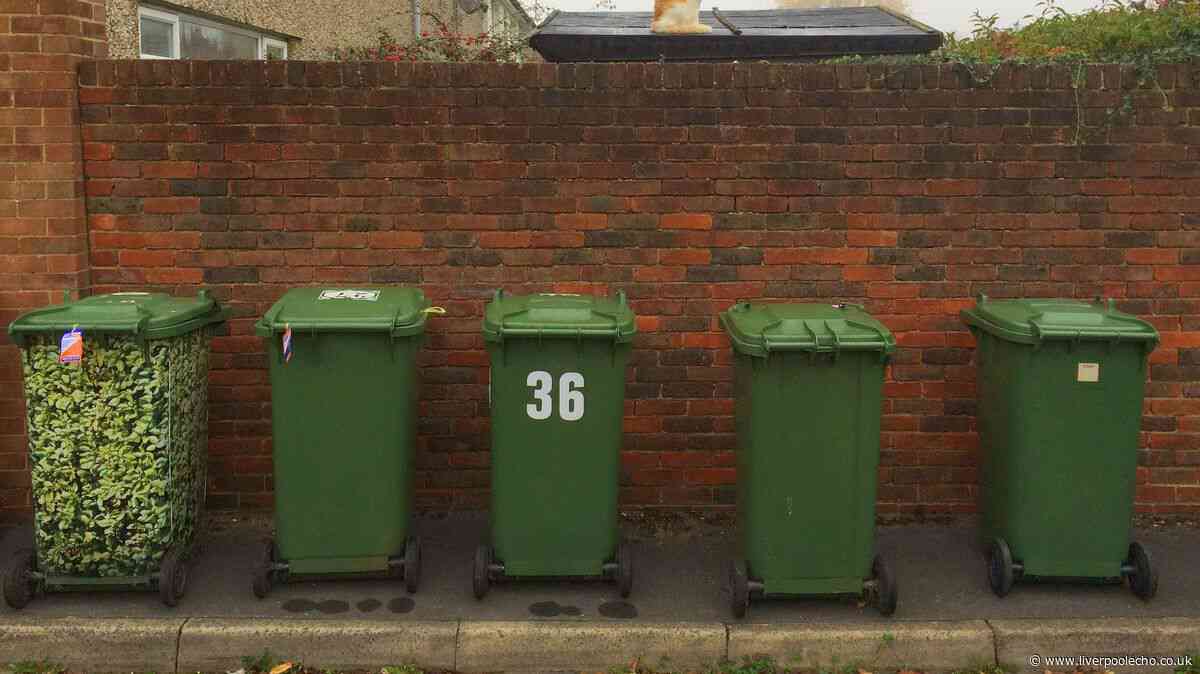 Deter flies and maggots from wheelie bins by lining them with 1 common item