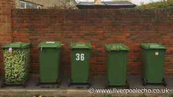Deter flies and maggots from wheelie bins by lining them with 1 common item