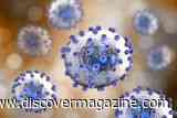 First-Ever Dual Vaccine for Lassa Virus and Rabies Deemed Safe in Human Trial