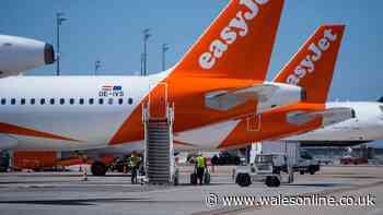 Holidaymakers dodge hold luggage fees with £24 'space saving' vacuum bags
