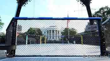 Just 16 percent approve of Trump UFC event at White House: Survey