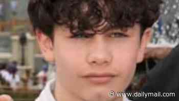 Boy, 12, was 'murdered' by teen, 15, who mowed him down in car and then punched and kicked him on floor after he was caught on private property, court hears