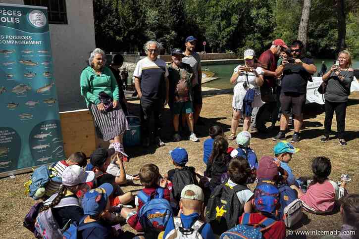 « En leur faisant découvrir ce monde fascinant, on les invite à en prendre soin » : 70 écoliers de cette commune du Var découvrent « leur » rivière