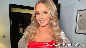 Carol Vorderman admits only knowing husband for 14 weeks before 'rebound' marriage
