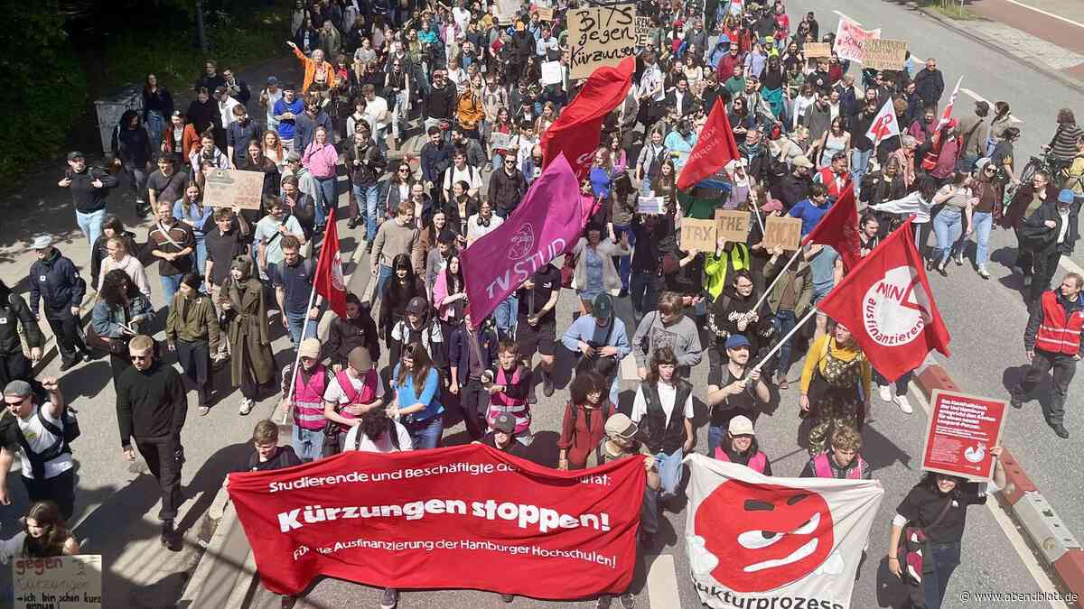 Tausende Menschen protestieren gegen drastische Kürzungen an der Uni Hamburg
