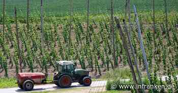 Bierkrise in den reichen Ländern setzt dem Hopfen zu