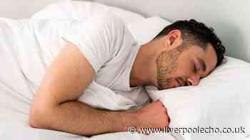 'Pillow so comfy it makes you sleep forever' that 'my daughter keeps stealing'