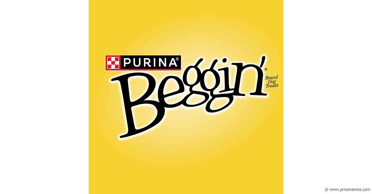 AMERICA HAS SPOKEN: BEGGIN' UNVEILS THE BEGGIN' XI TOP DOG