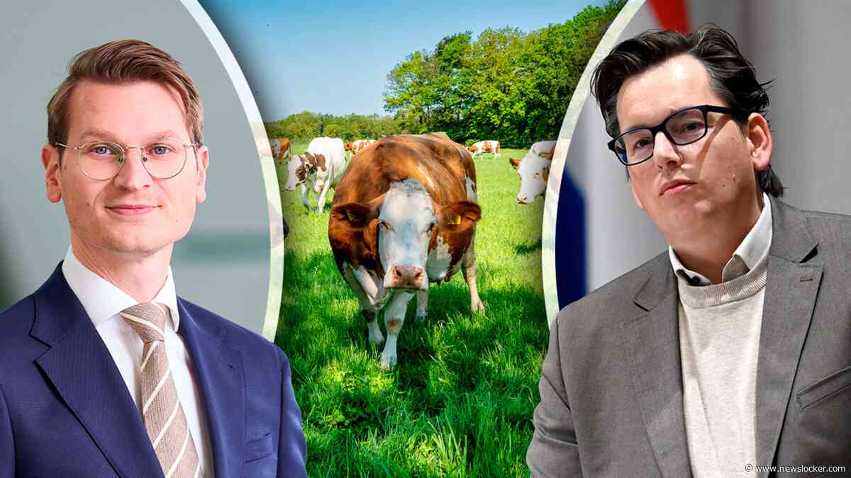 Boeren woest om ’strenge koeiennorm’, CU komt met alternatief