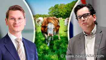 Boeren woest om ’strenge koeiennorm’, CU komt met alternatief