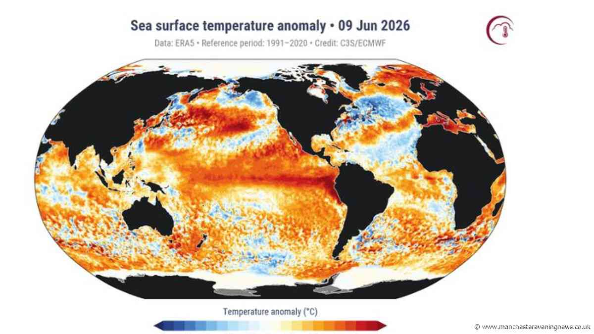 El Niño declared as Met Office confirms how UK weather could be affected