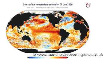 El Niño declared as Met Office confirms how UK weather could be affected