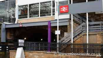 Woman, 86, dies after being hit by a van outside North East train station