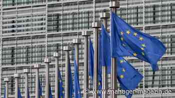 Lobbyismus: Konzerne erhöhen EU-Lobbyausgaben seit 2020 um 50 Prozent
