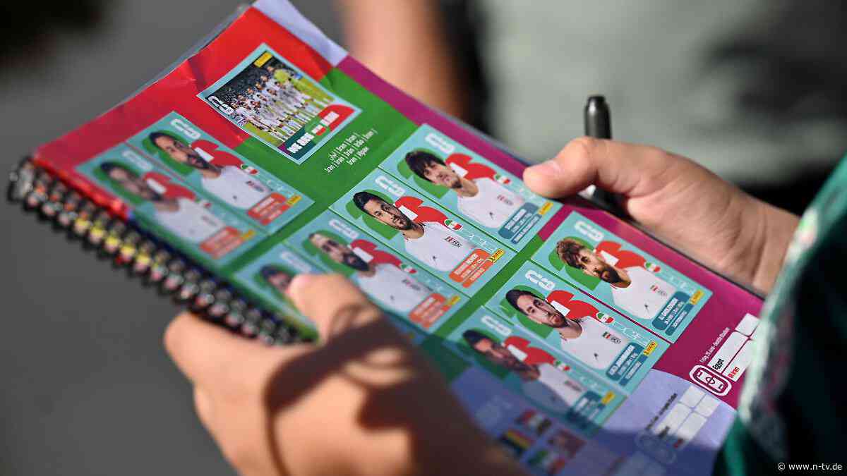 Nouripour im Interview: FIFA-Umgang mit Iran "nimmt bizarre Züge an"