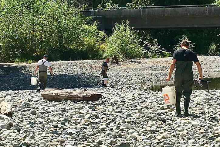 Flow reductions begin as Cowichan River braces for dry summer