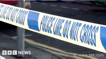 Boy, 11, and man hurt in suspected accidental poisoning