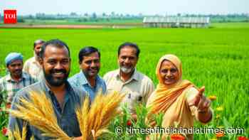 Seeds of change: How India’s agriculture went high-output in 12 years
