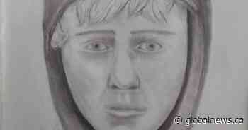 Calgary police release sketch of suspect in Fish Creek Park sex assaults