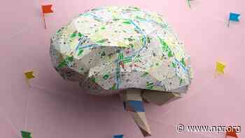 Socioeconomic factors are becoming 'biologically embedded' in children's brains