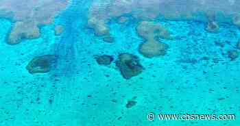 U.S. monitoring Chinese activity in South China Sea around disputed shoal