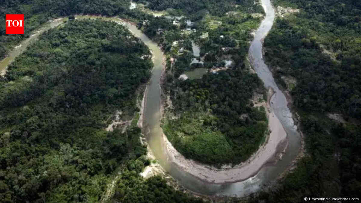 Brazil reports drop in Amazon deforestation rates, pushing back on US tariff accusations