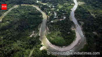 Brazil reports drop in Amazon deforestation rates, pushing back on US tariff accusations