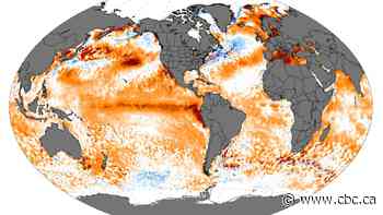 El Niño is officially here, and scientists say it will be particularly strong with widespread impacts