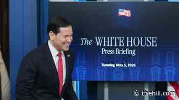 Rubio inks public-private partnership with UFC ahead of WH cage fights