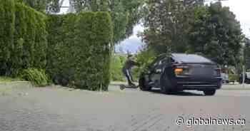 12-year-old’s guardian ticketed after child riding e-scooter hits car