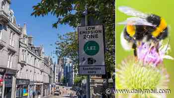 Motorists stung by LEZ fines... to fund £60,000 'urban bees' project