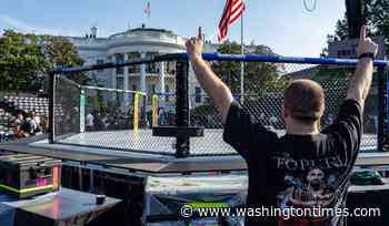 Birthday punches: Trump to celebrate birthday, America's 250th with White House UFC event