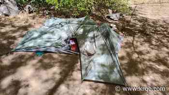 Gila National Forest warns of bear encounters