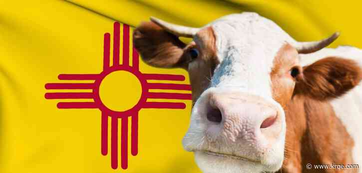 Applications for New Mexico Veterinary Medicine Loan Repayment Program open