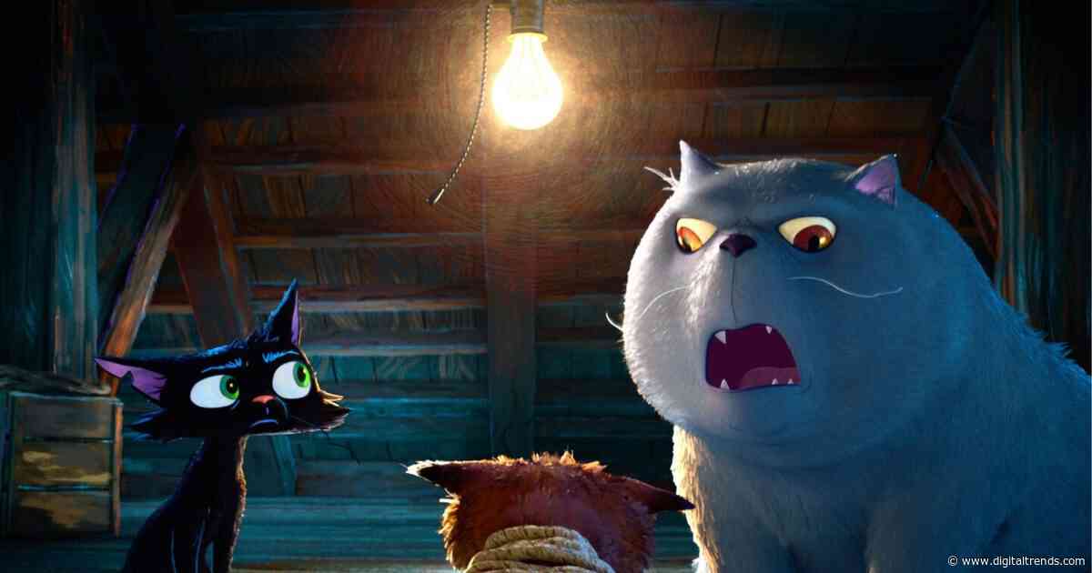 Pixar just dropped the Gatto movie trailer and it has everything a cat lover could want
