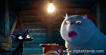Pixar just dropped the Gatto movie trailer and it has everything a cat lover could want