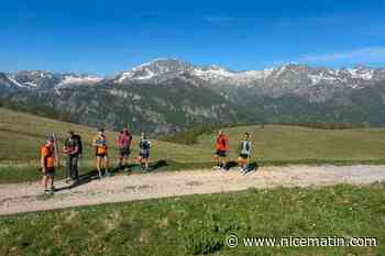Marmottes, mont Bégo et sentiers d’exception : le Trail de Tende-Casterino revient dimanche