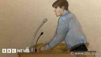 Teen 'got into a pickle' over assassination plot