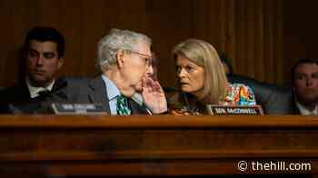 Trump rips McConnell, Murkowski from Oval Office
