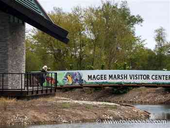 Magee Marsh Wildlife Area offering free weekend nature programs