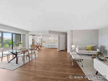 Listing of the Day: 1600 N Oak Street #1119