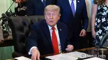 Trump mulls executive order on spy powers: 'Let's see what happens'