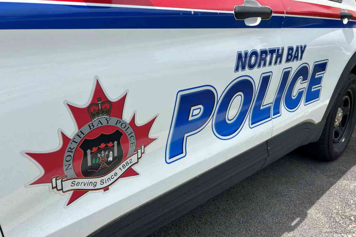 Brass knuckles seized after Lakeshore Drive robbery