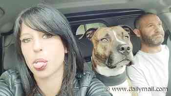 French man is convicted of involuntary manslaughter after his illegally imported Pit Bull dog mauled pregnant girlfriend to death