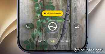 iOS 27 brings another very welcome improvement to Camera Control on iPhone