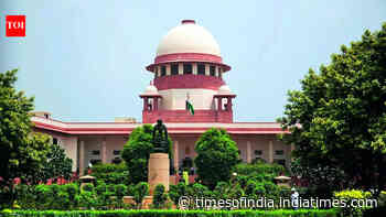 Staff dismissal only for grave violations like corruption: SC