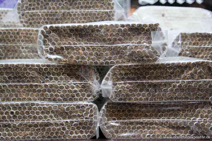 Six Nations and OPP targeting illegal tobacco Thursday