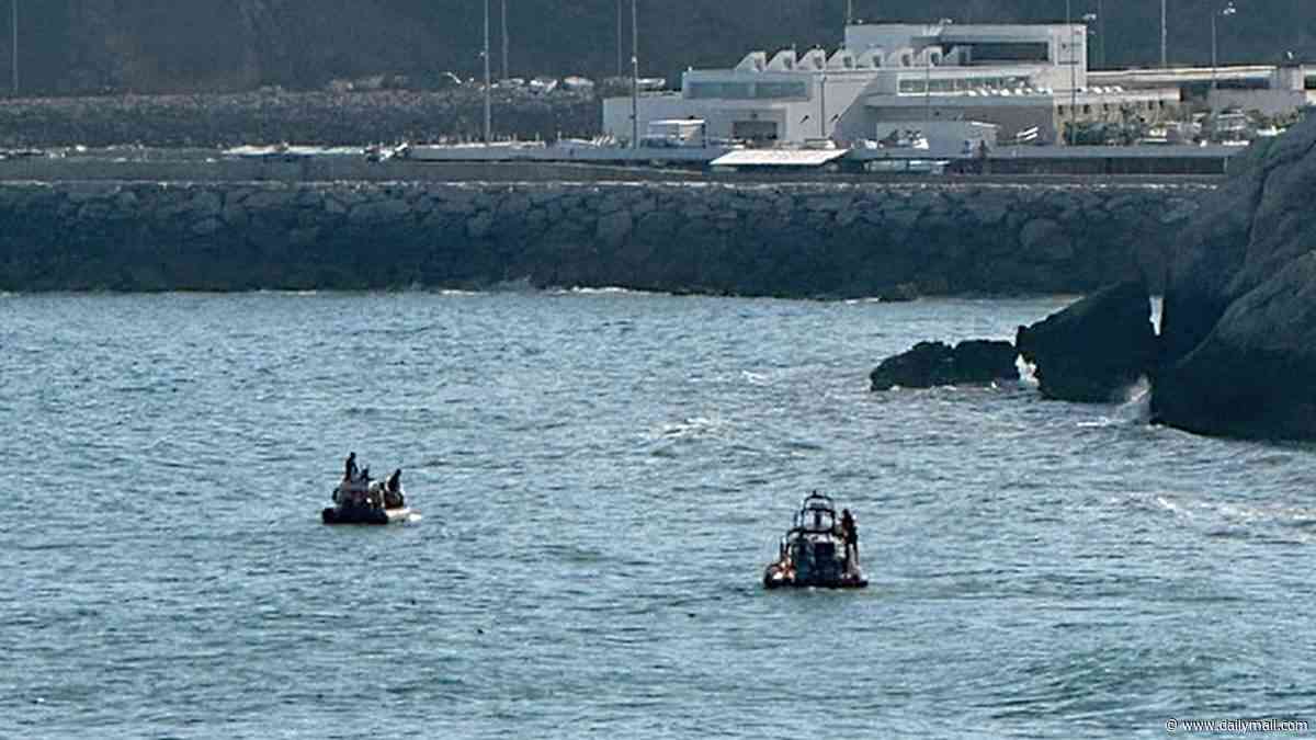 Huge search operation launched after British tourist, 23, vanished while swimming in sea in Portugal