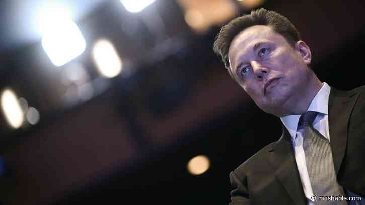 Elon Musk shares anti-immigrant posts before SpaceX IPO