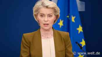 Weniger Bürokratie? Nicht beim kompliziertesten Gesetz der EU